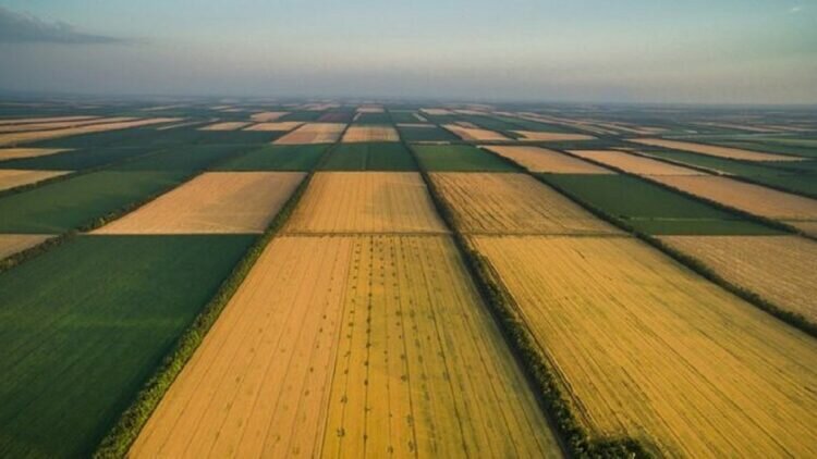 Земля для иностранцев? Вопрос закрыт – Токаев